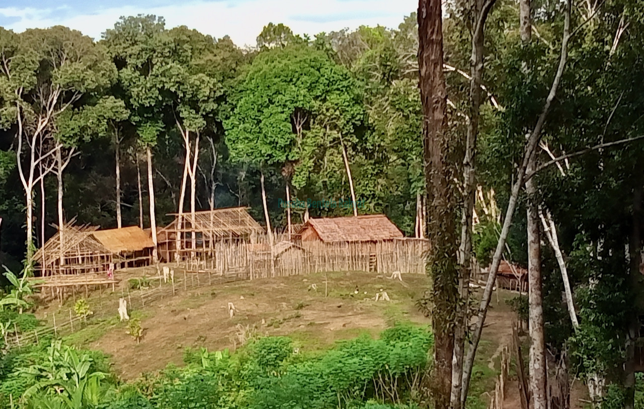 Suku-Awyu-dari-Dusun-Bagu-Muga-Suwisi