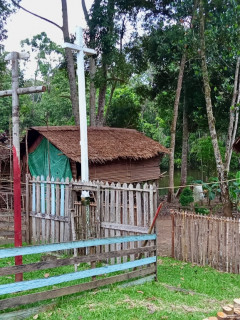 Suku Awyu dari Dusun Bagu Muga Suwisi