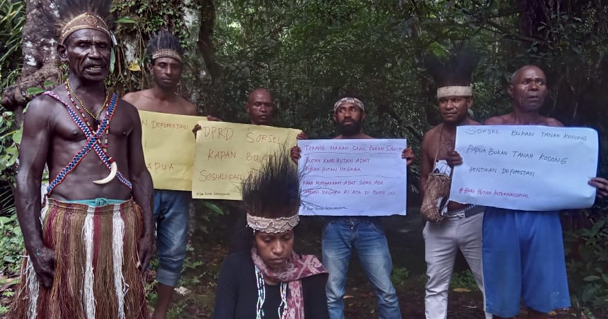 Siaran Pers: Mendesak Pemerintah Menyegerakan Penegakan Hukum Mencabut Izin Konsesi di Kawasan Hutan